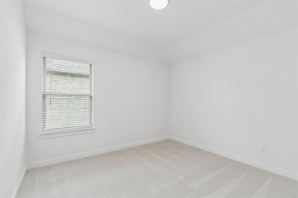 Painted Tree - Residential