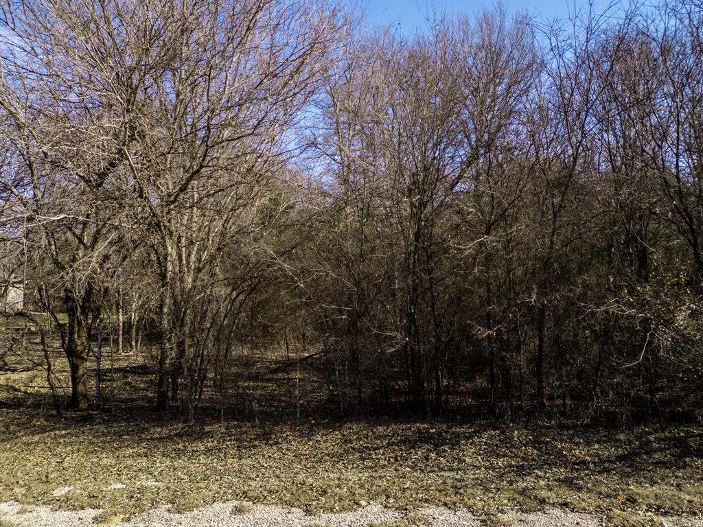 12039 Shady Creek Drive