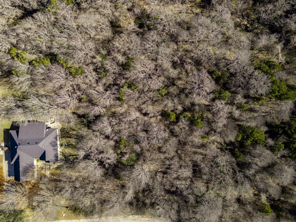 12039 Shady Creek Drive