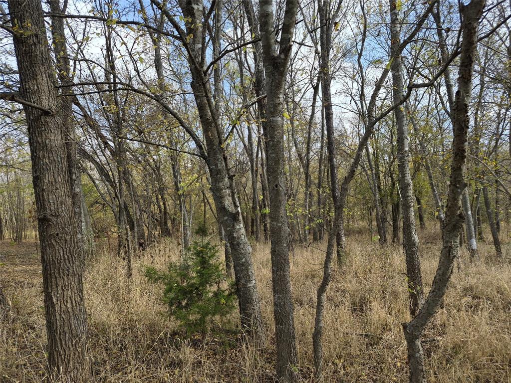 Suburban Estates - Land