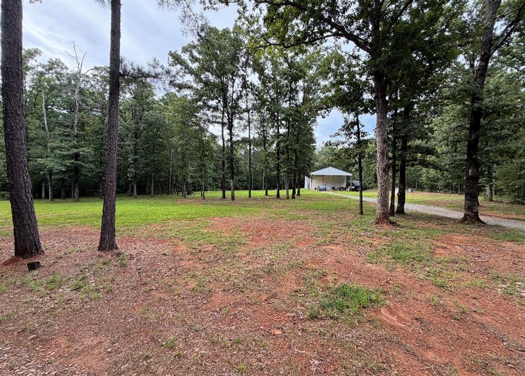 161 Clement Road