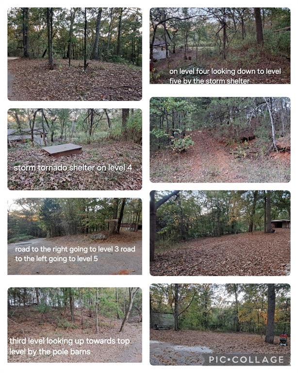10774 County Road 494