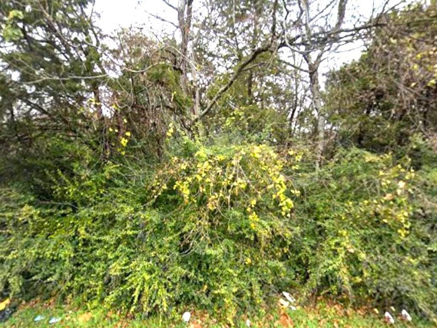 Excellent opportunity to build on this 0.29-acre corner lot located at 1627 Stella Avenue in Dallas, TX 75216. This spacious parcel offers added flexibility and design potential thanks to its corner positioning—ideal for a custom single-family home or investment project. Situated in an established neighborhood with convenient access to major highways, schools, parks, and downtown Dallas. Utilities are available nearby. No existing structures ready for development. Don’t miss this chance to secure a well-positioned lot in a growing area with strong potential.