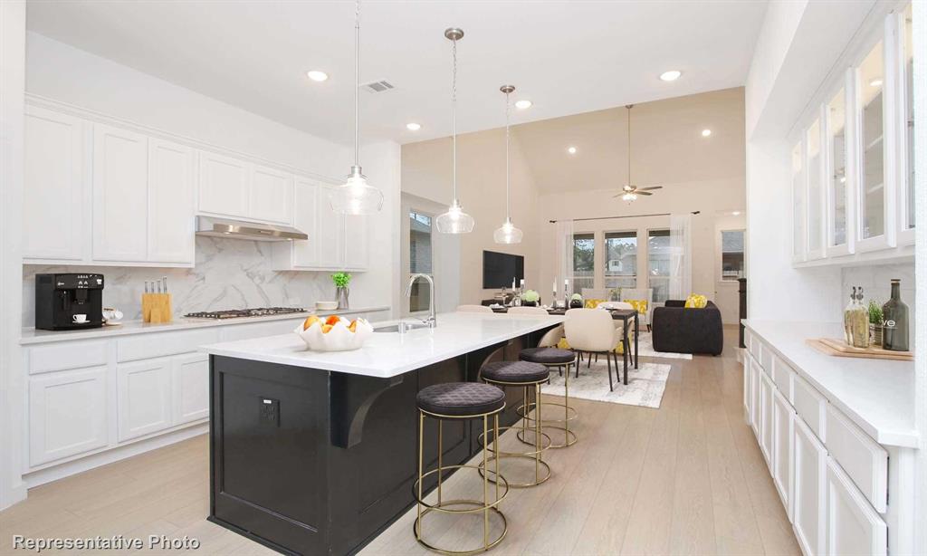 Gateway Village - The Reserve: 45ft. lots - Residential