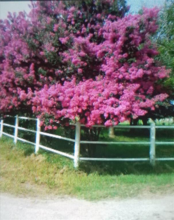 None - Farm