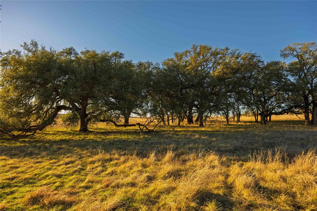 Mercers Preserve - Land