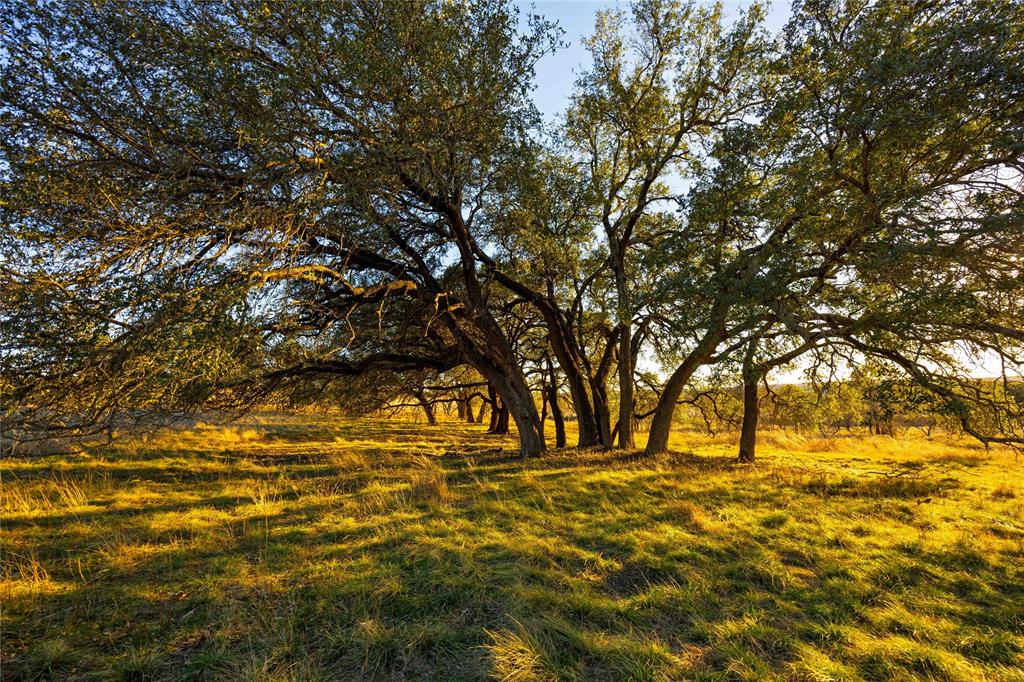Mercers Preserve - Land