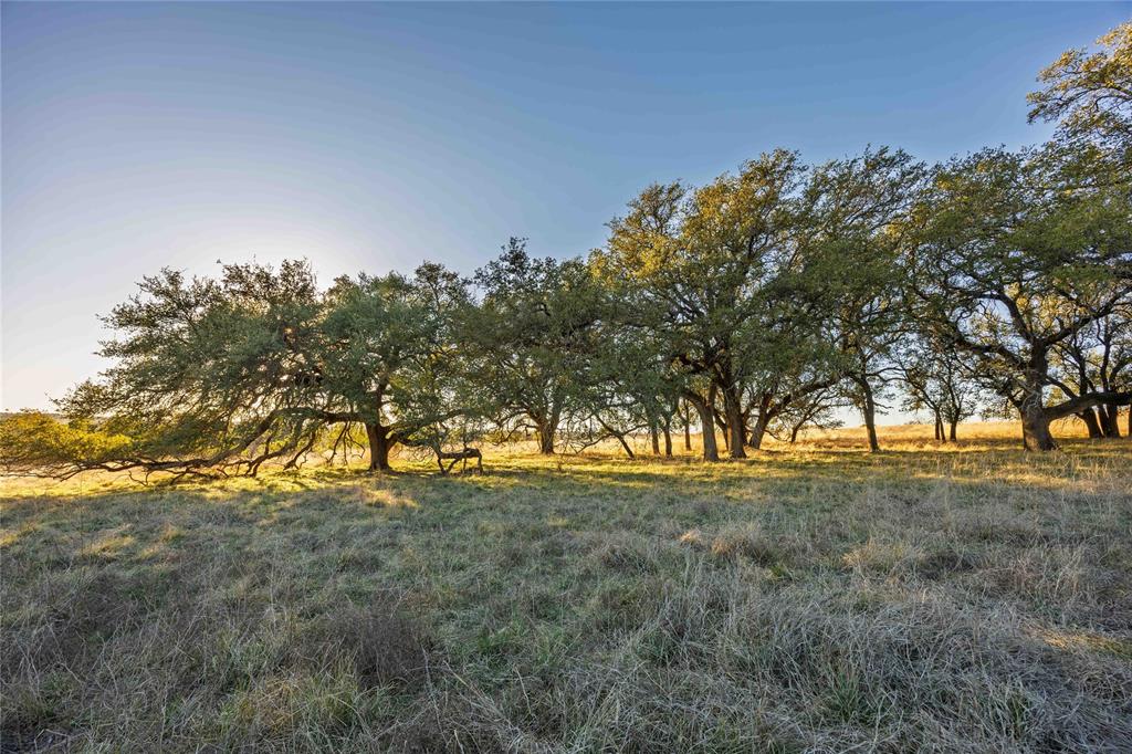 Mercers Preserve - Land
