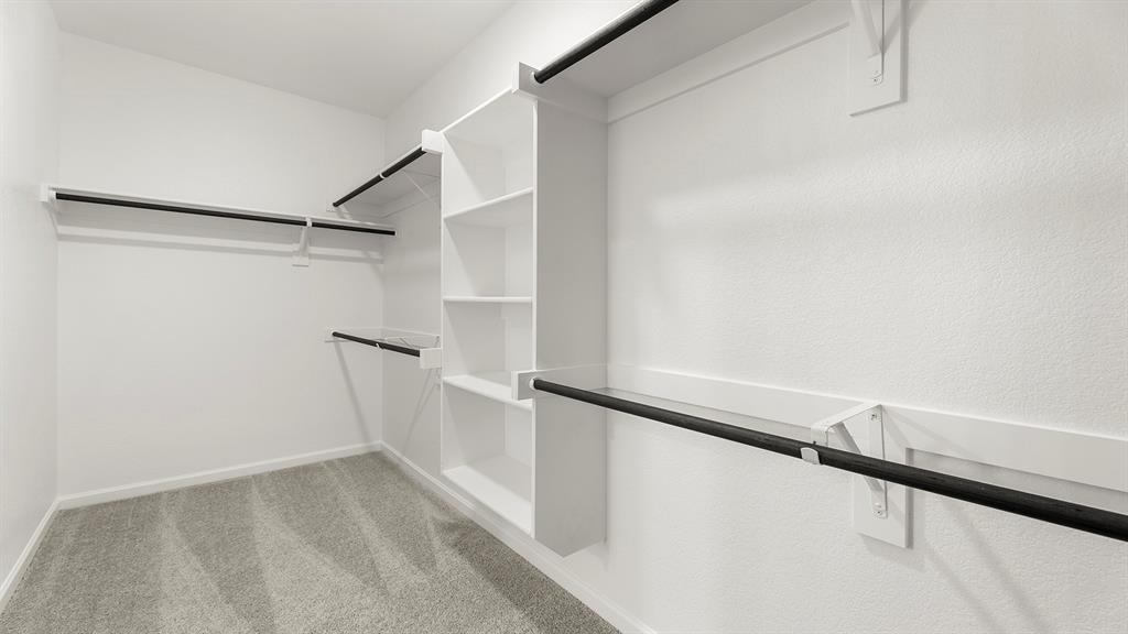 Palmilla Springs - Residential