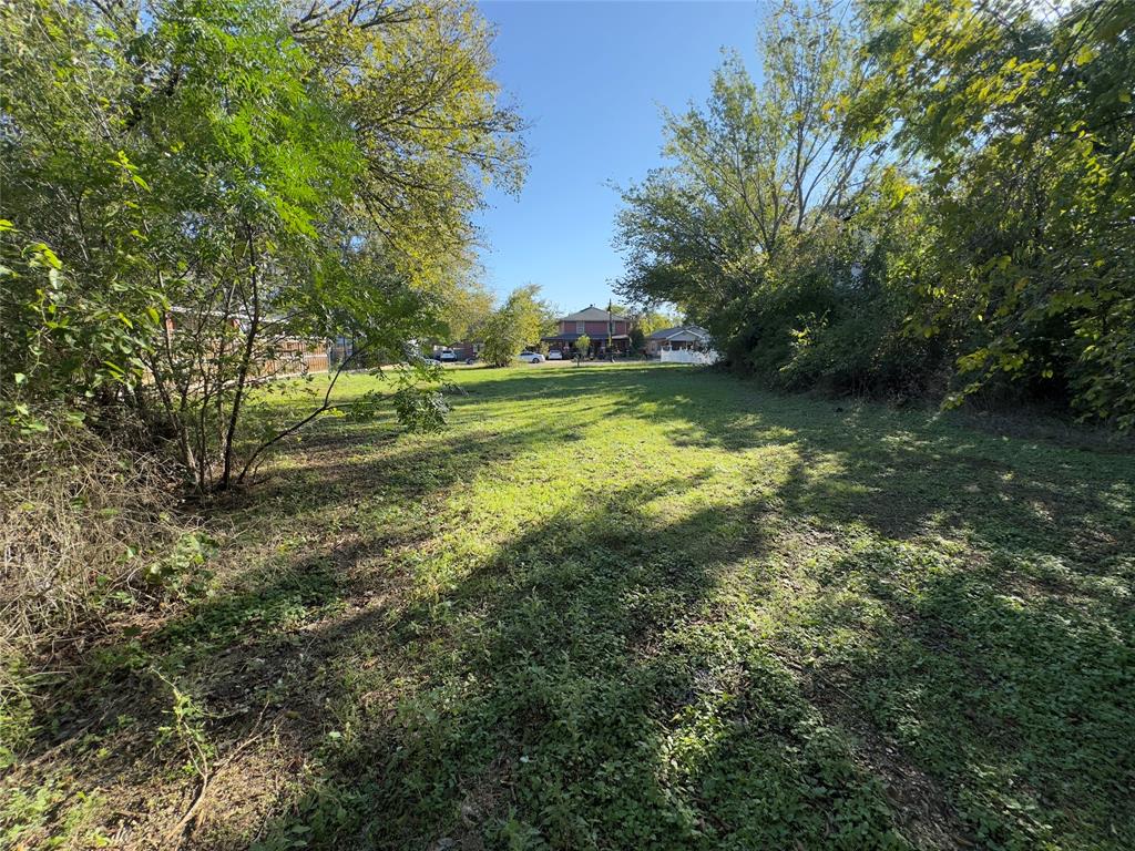 Moore Lewis Surv Tract 39 - Land