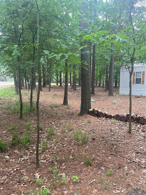 240 Sweetgum Lane