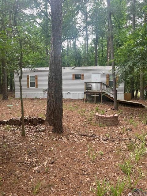 240 Sweetgum Lane Mount Vernon TX 75457