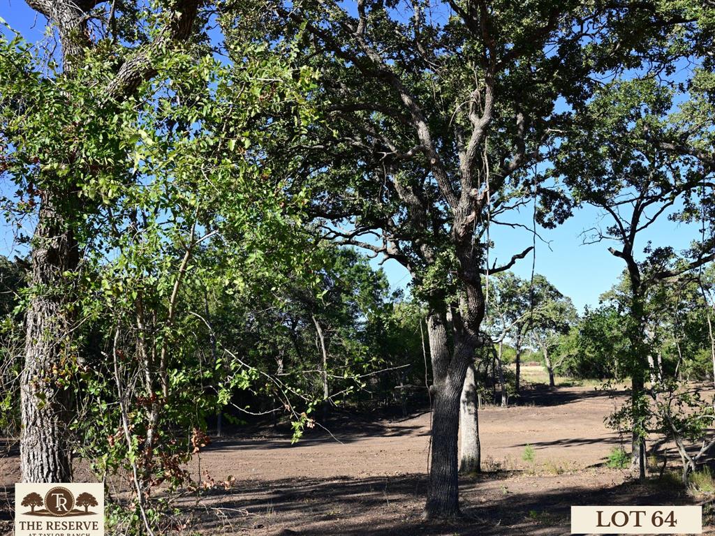 The Reserve at Taylor Ranch - Land