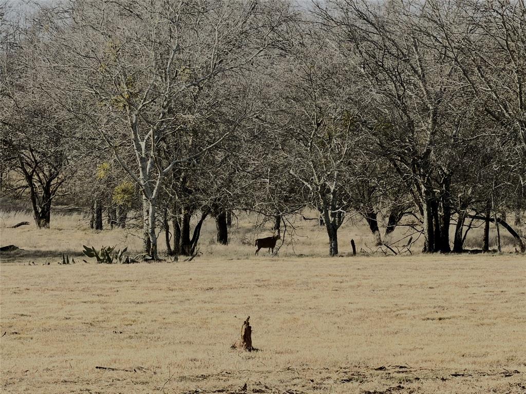 Lakewood Acres - Land