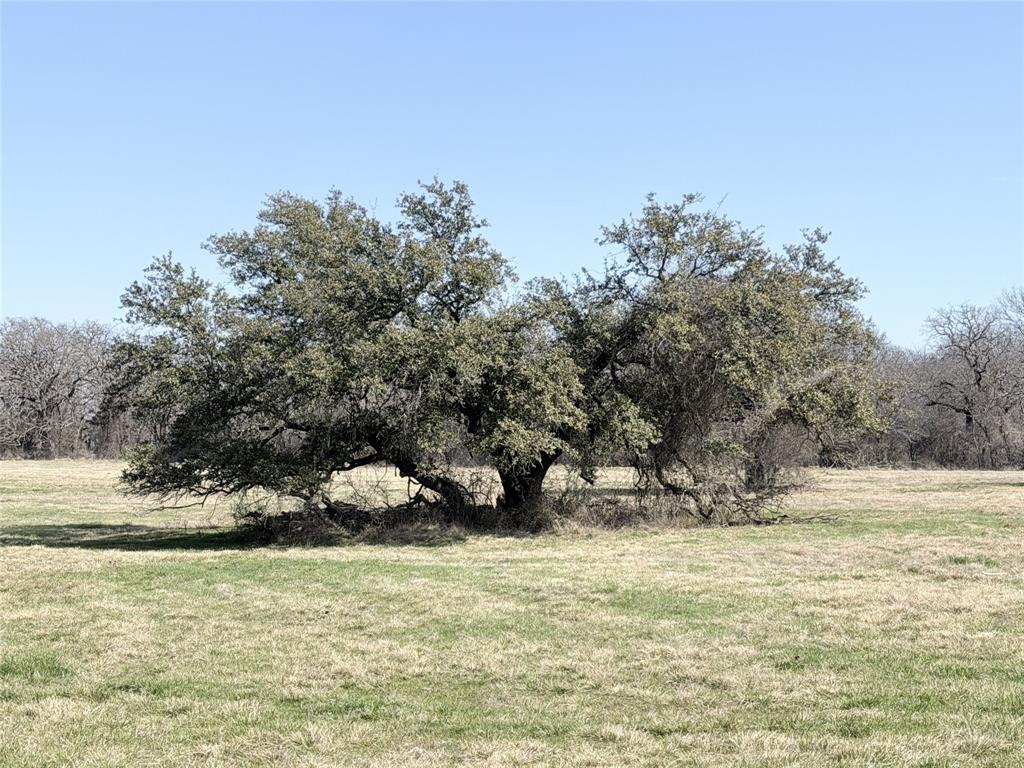 Lakewood Acres - Land