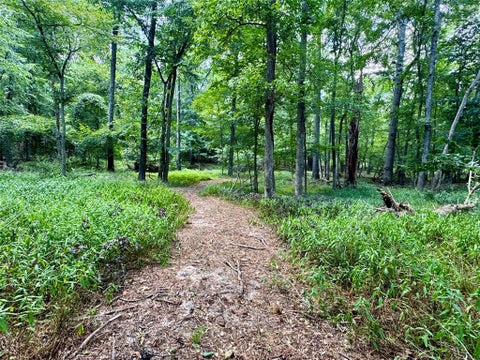 Photo of 2133 Holly Trail E, Holly Lake Ranch, TX 75765 (MLS # 21325431)