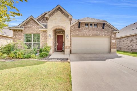 244 Dakota Drive Waxahachie TX 75167