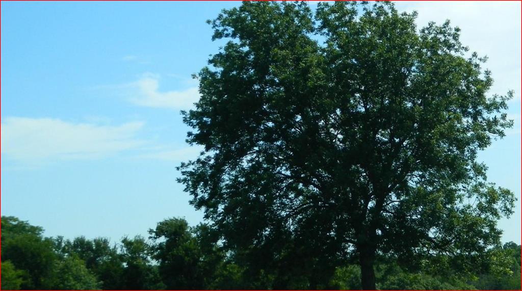 Benjamin Smith - Farm