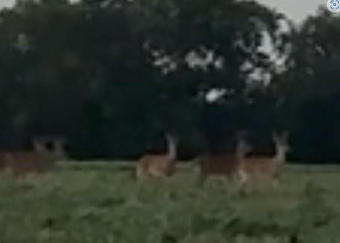 Benjamin Smith - Farm