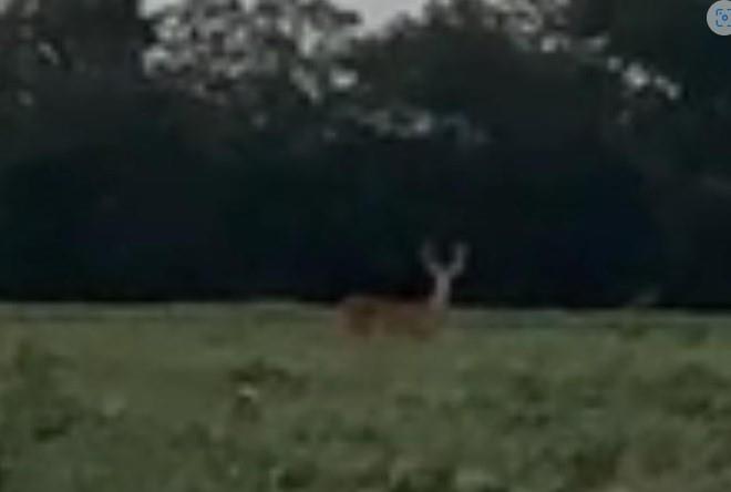 Benjamin Smith - Farm