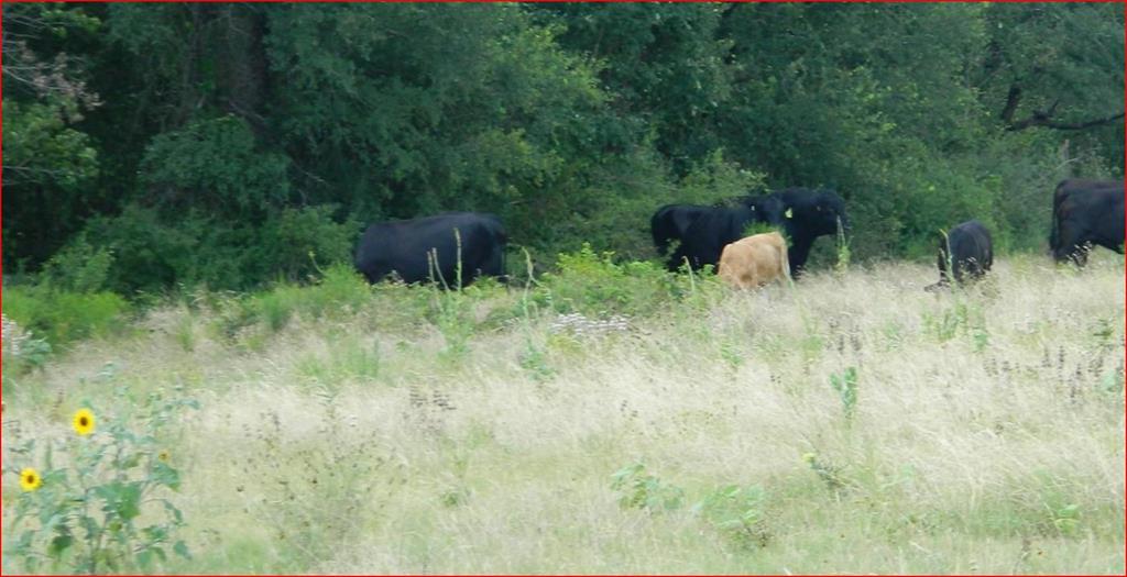Benjamin Smith - Farm