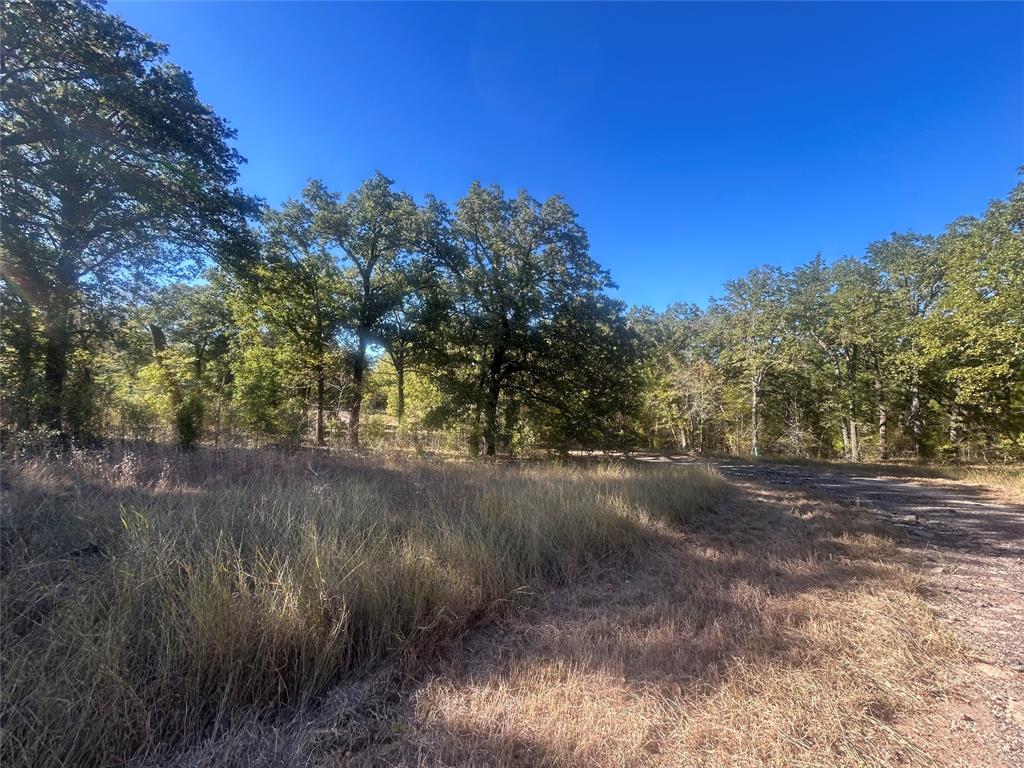 Point La Vista - Land