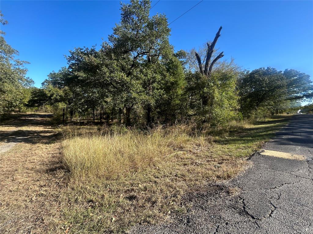 Point La Vista - Land