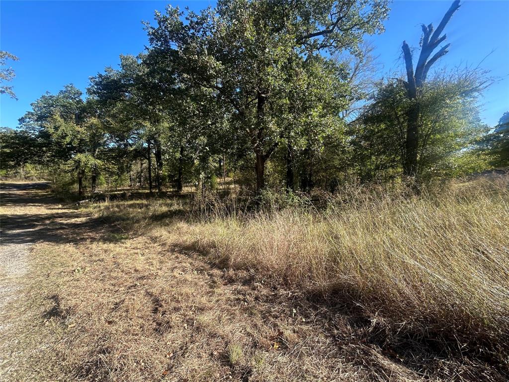 Point La Vista - Land