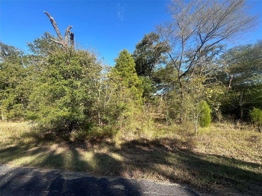 Point La Vista - Land