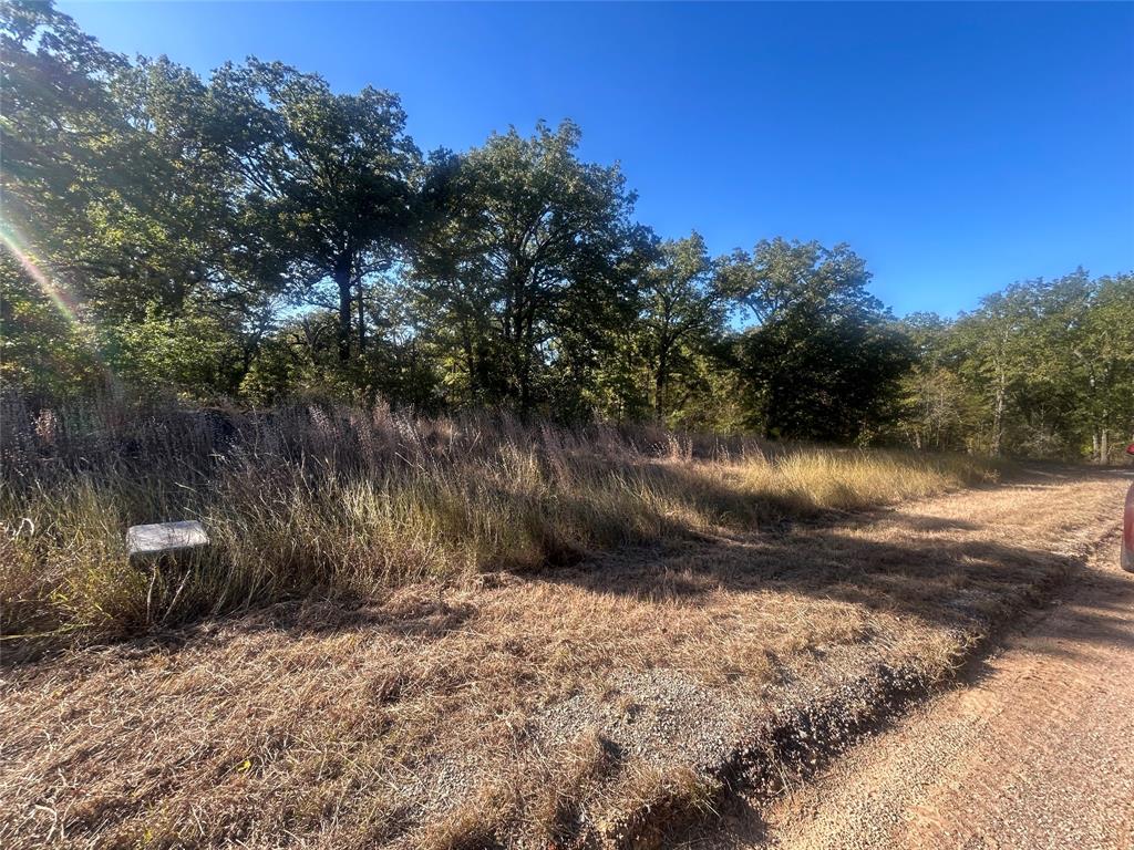 Point La Vista - Land