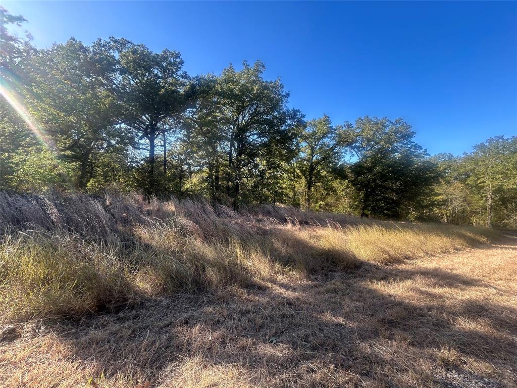 Point La Vista - Land