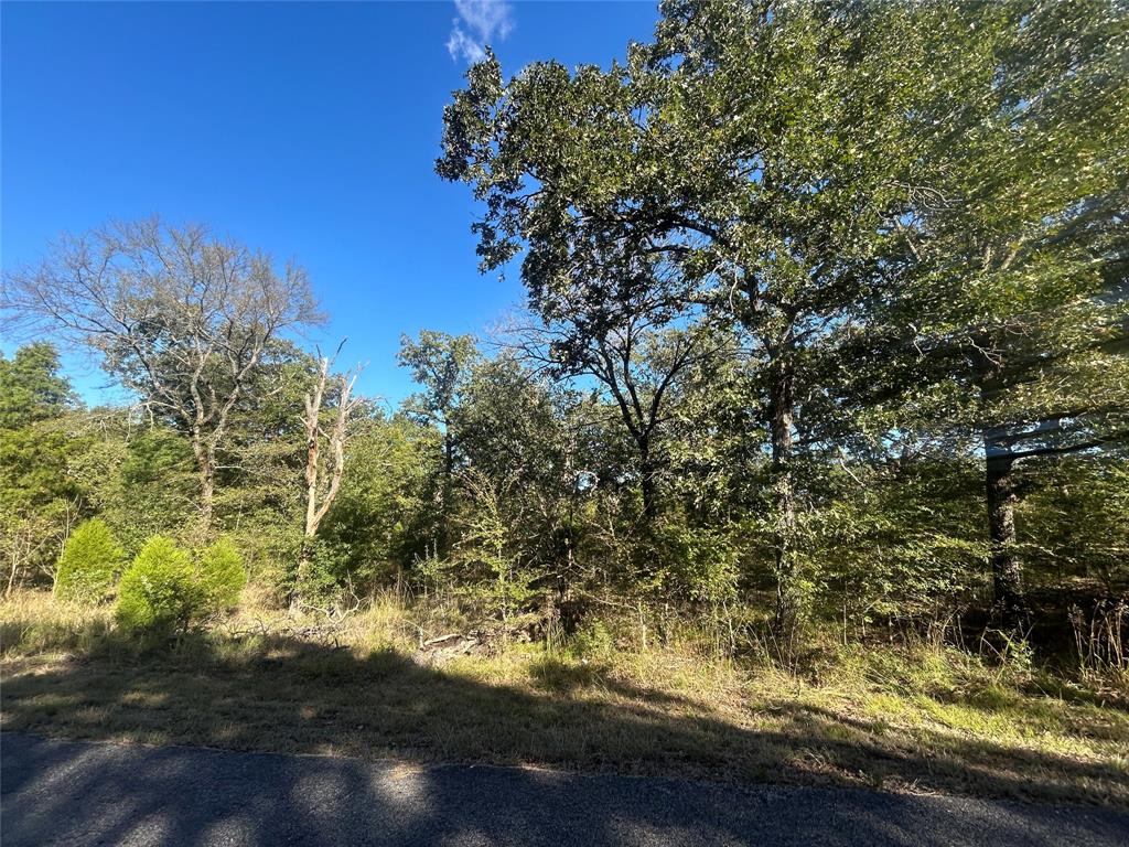 Point La Vista - Land