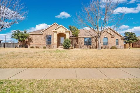 409 Panther Peak Drive Midlothian TX 76065