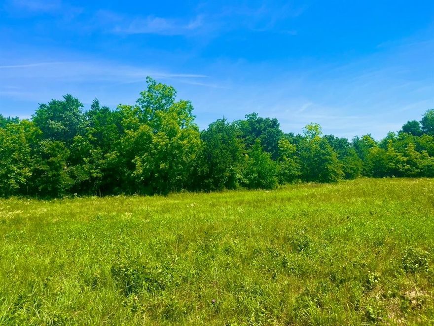 Lot 103 is on a hard corner tucked away in the relaxing community of Sarra Ranch Estates. Located about 12 minutes North of the Weatherford courthouse, Sarra Ranch provides the opportunity to grow your roots in Parker County, one of the most coveted counties to live in Texas. Being one of the biggest lots in the community containing several mature oak trees and having a seasonal creek for natural border line in the rear, this lot has numerous build spots to watch hundreds of beautiful sunrises and sunsets. The best features of this lot are its size, generally flat with ample space for multiple buildings, and the amazing trees scattered on it. Sarra Ranch has a total of 103 lots in a private loop so you can safely jog around the whole neighborhood or take your horse for a run. Choosing Sarra Ranch Estates will give you a proud place to live the country life and build long lasting friendships with other neighbors. Welcome Home.