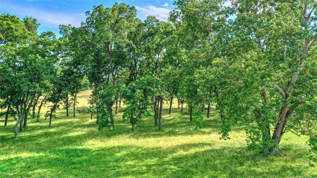 James Blagg Surv Abs #57 - Farm