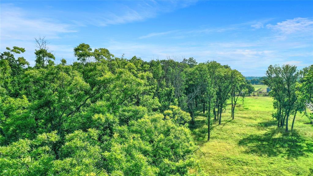 James Blagg Surv Abs #57 - Farm