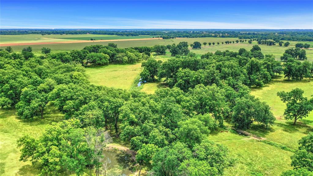 James Blagg Surv Abs #57 - Farm