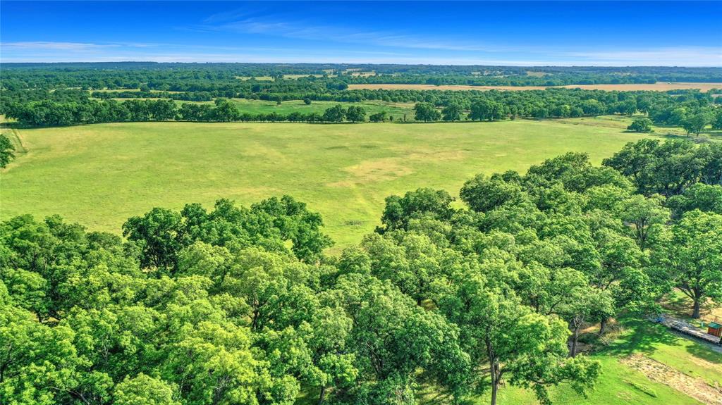 James Blagg Surv Abs #57 - Farm