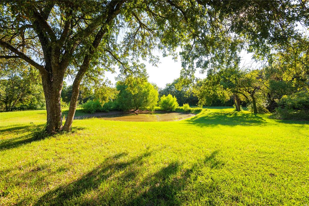 Samuel Young Survey - Residential