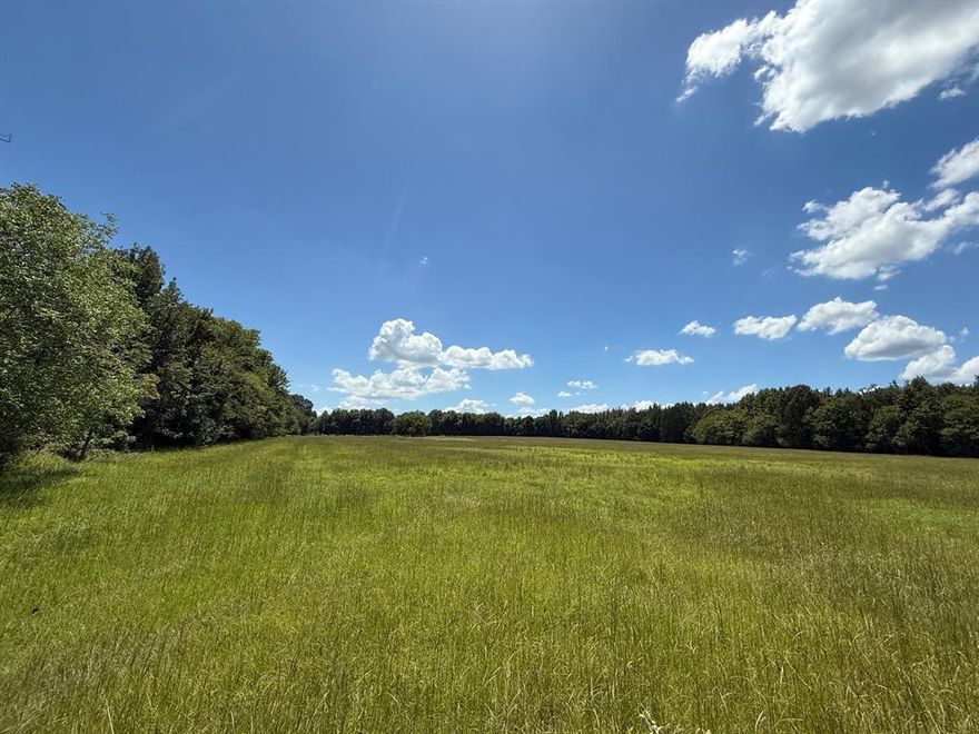 A stunning place for your new home or ranch! The potential is endless with gorgeous pasture views and plenty of woods as well! Come see this one now!