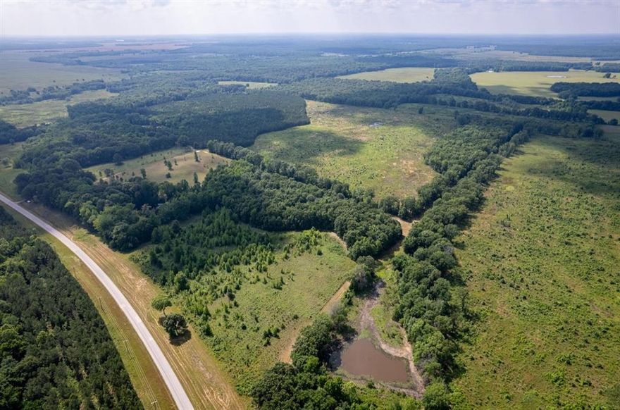 Located just minutes from the Historic Red River in Red River County!  This 50acre tract of land has ample opportunity for anyone wanting a piece of ground and love wildlife.  Property has a mixture of hard woods and has also been replanted in pines.  The property has abundant whitetail deer, hogs and turkey.  Lets go look!!