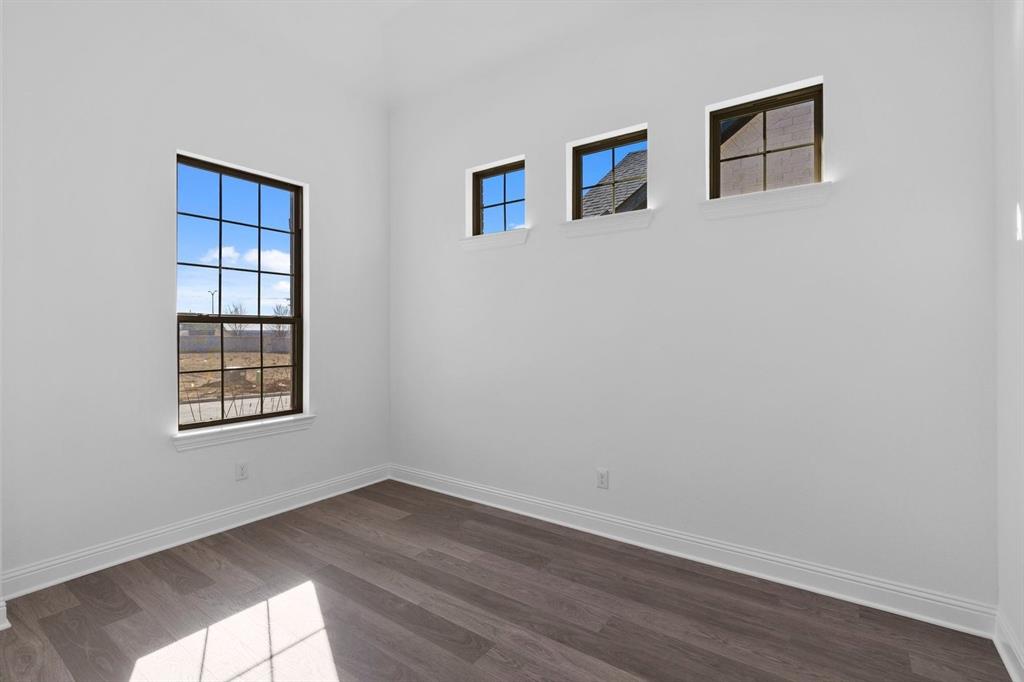 Painted Tree - Residential