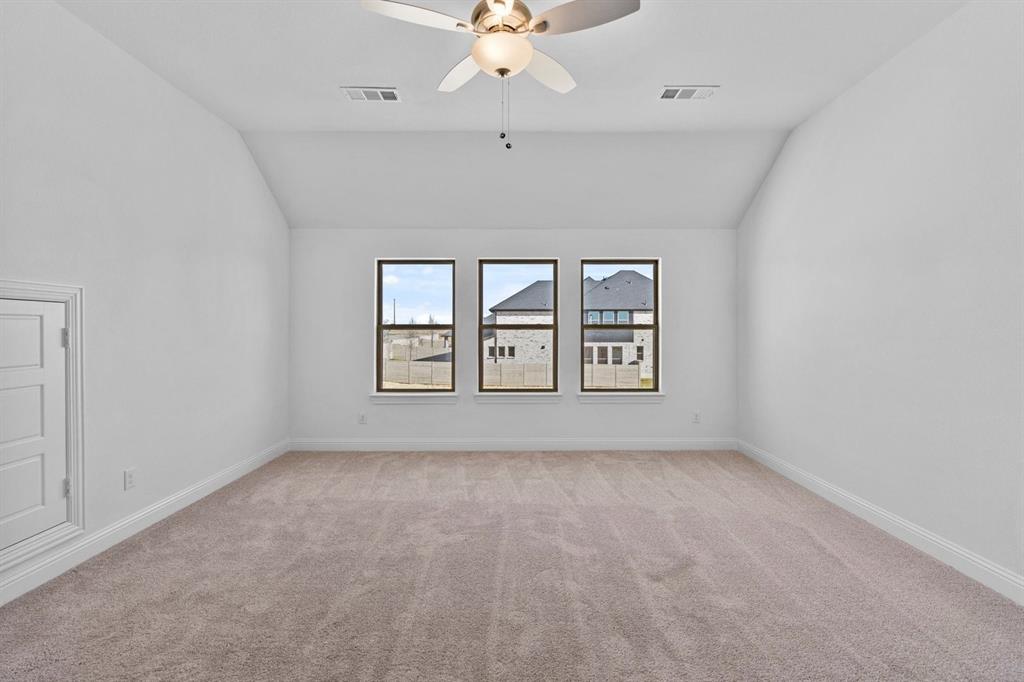 Painted Tree - Residential