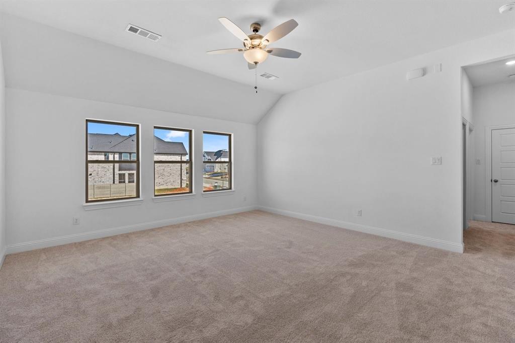 Painted Tree - Residential