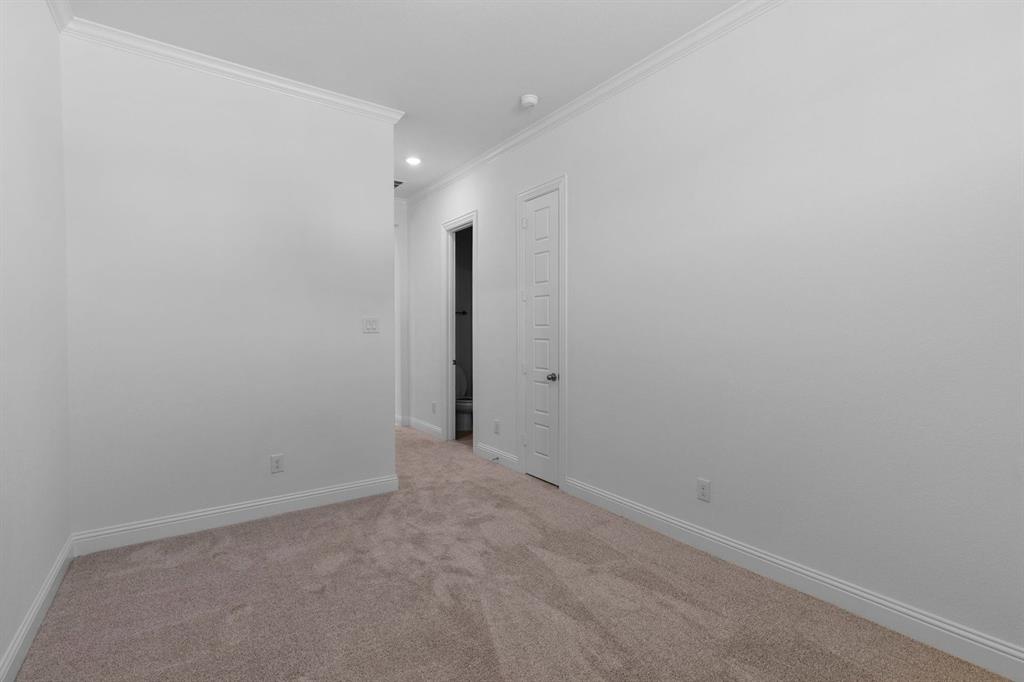 Painted Tree - Residential