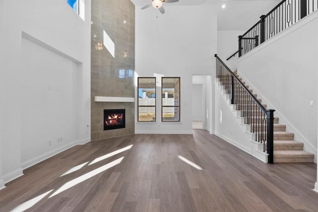 Painted Tree - Residential