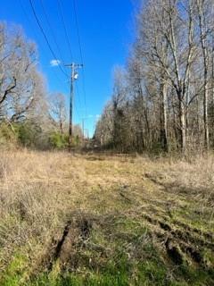 TBD/ LOT 446-451 Cedar Drive