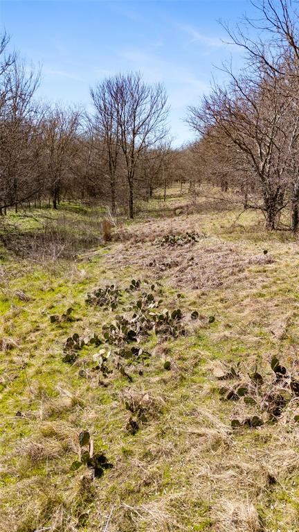 Songbird Addn - Residential