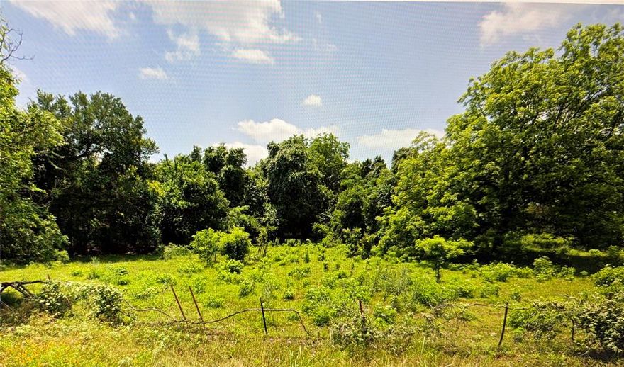 Raw land 32.3 Acres whit lots of trees.  Water meter is installed, paved road, and property completely fenced.  Very nice properties in the area.  Build your dream!