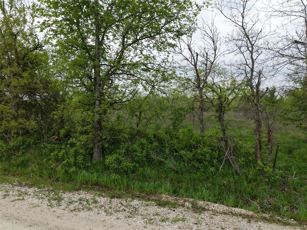 Martha Brennan Survey - Land